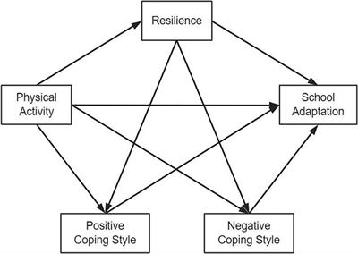 Physical activity and school adaptation among Chinese junior high school students: chain mediation of resilience and coping styles